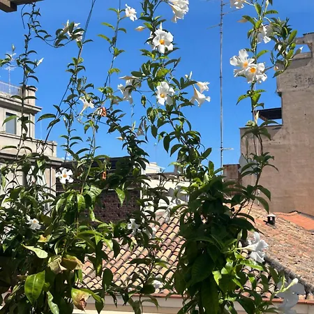 Bed & Breakfast Fra Le Righe Catania